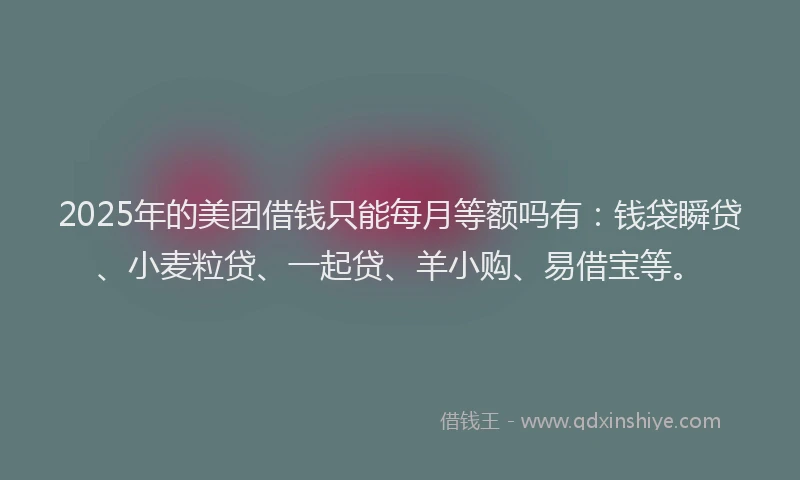 2025年的美团借钱只能每月等额吗有：钱袋瞬贷、小麦粒贷、一起贷、羊小购、易借宝等。