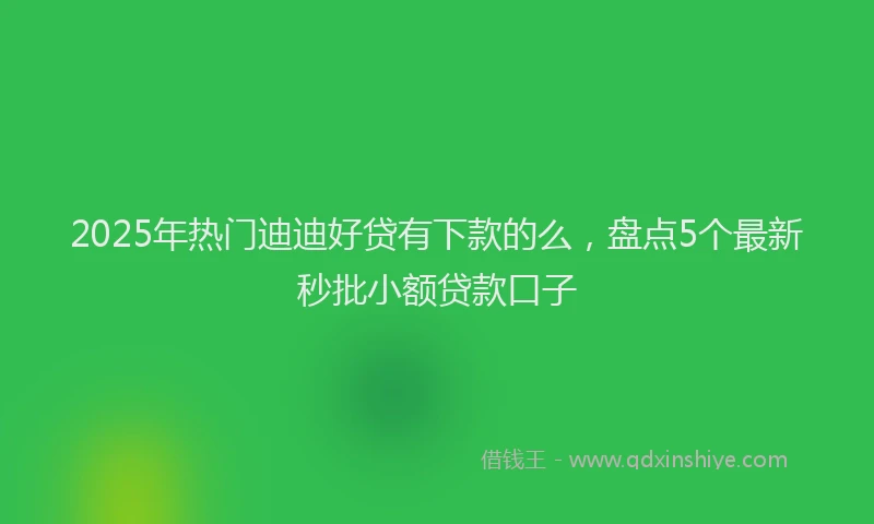 2025年热门迪迪好贷有下款的么，盘点5个最新秒批小额贷款口子