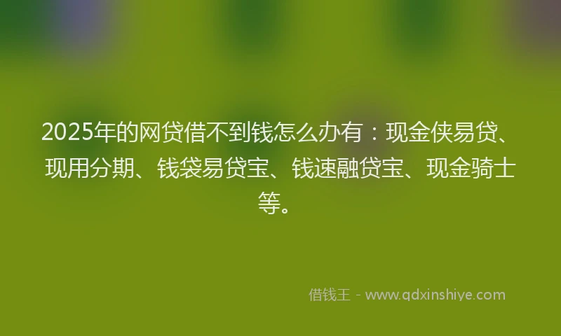 2025年的网贷借不到钱怎么办有：现金侠易贷、现用分期、钱袋易贷宝、钱速融贷宝、现金骑士等。