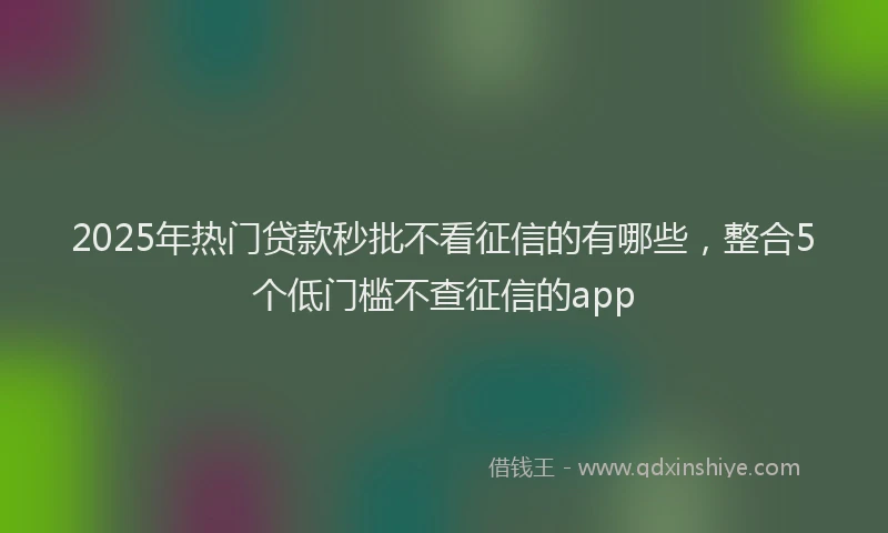 2025年热门贷款秒批不看征信的有哪些，整合5个低门槛不查征信的app