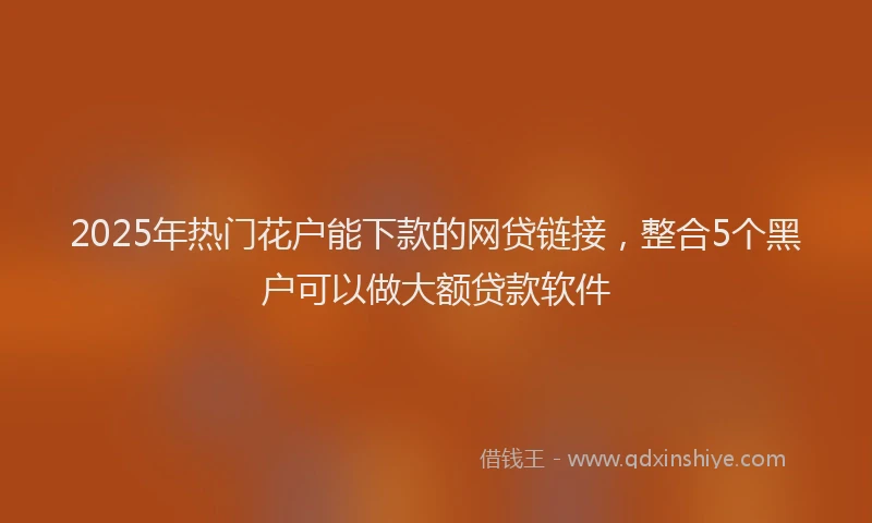 2025年热门花户能下款的网贷链接，整合5个黑户可以做大额贷款软件