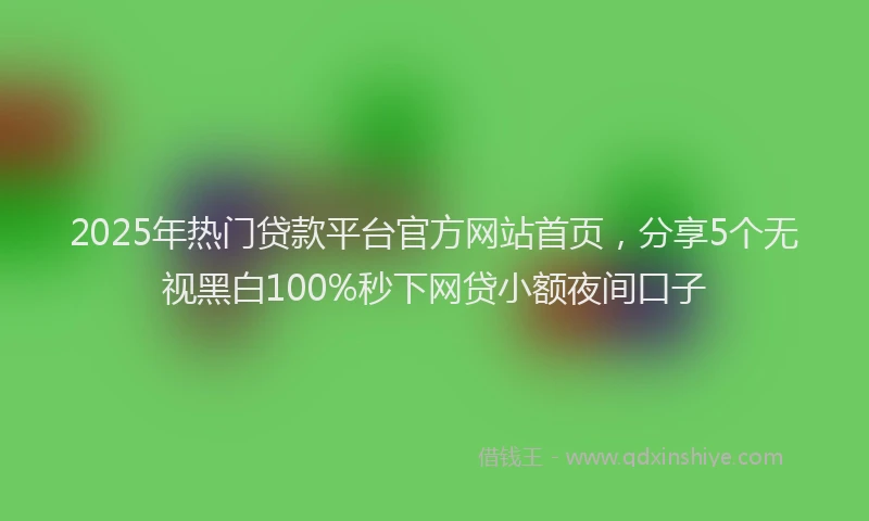 2025年热门贷款平台官方网站首页，分享5个无视黑白100%秒下网贷小额夜间口子