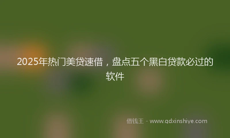 2025年热门美贷速借，盘点五个黑白贷款必过的软件
