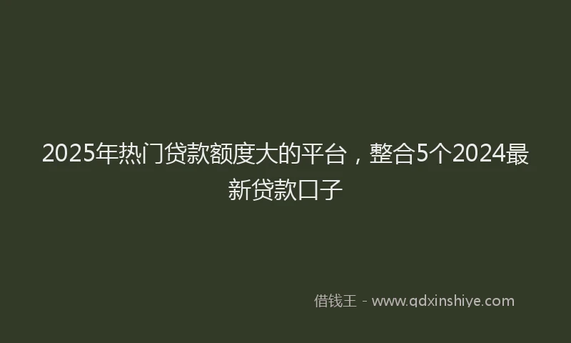 2025年热门贷款额度大的平台，整合5个2024最新贷款口子