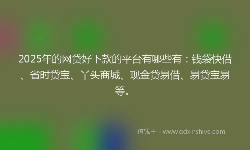 2025年的网贷好下款的平台有哪些有：钱袋快借、省时贷宝、丫头商城、现金贷易借、易贷宝易等。