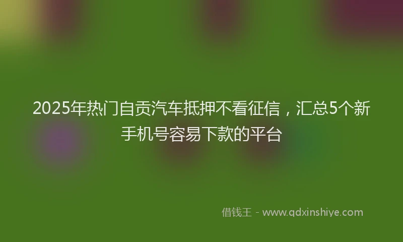 2025年热门自贡汽车抵押不看征信，汇总5个新手机号容易下款的平台