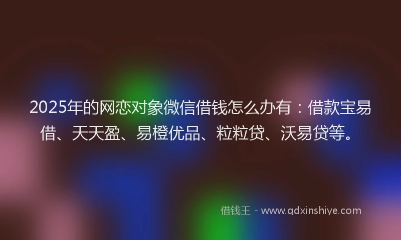 2025年的网恋对象微信借钱怎么办有：借款宝易借、天天盈、易橙优品、粒粒贷、沃易贷等。