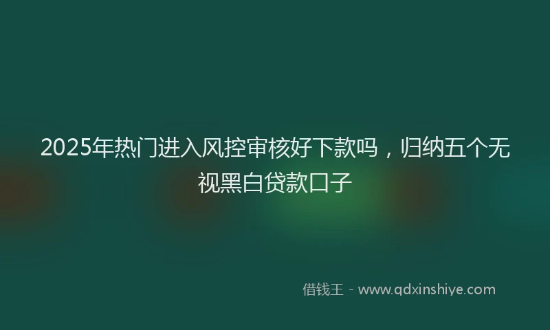 2025年热门进入风控审核好下款吗，归纳五个无视黑白贷款口子