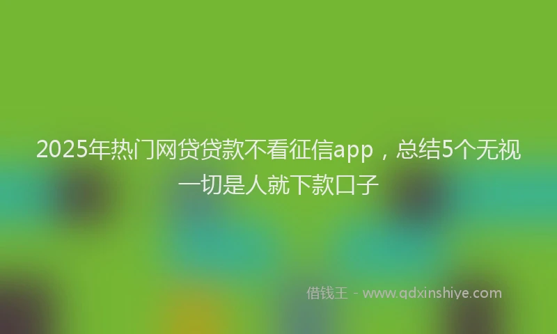 2025年热门网贷贷款不看征信app，总结5个无视一切是人就下款口子