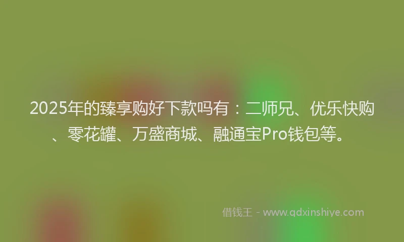 2025年的臻享购好下款吗有：二师兄、优乐快购、零花罐、万盛商城、融通宝Pro钱包等。