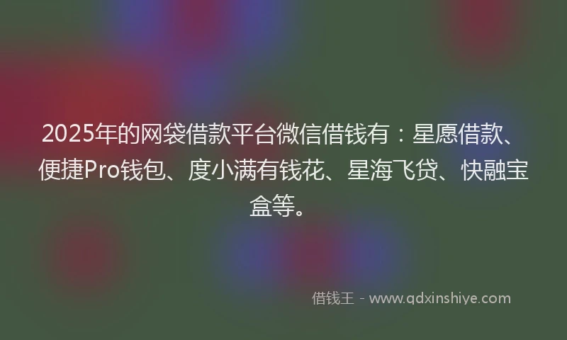 2025年的网袋借款平台微信借钱有：星愿借款、便捷Pro钱包、度小满有钱花、星海飞贷、快融宝盒等。