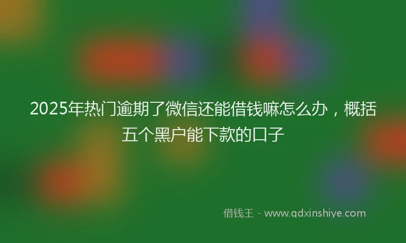 2025年热门逾期了微信还能借钱嘛怎么办，概括五个黑户能下款的口子