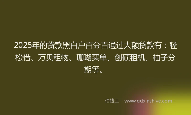 2025年的贷款黑白户百分百通过大额贷款有：轻松借、万贝租物、珊瑚买单、创硕租机、柚子分期等。
