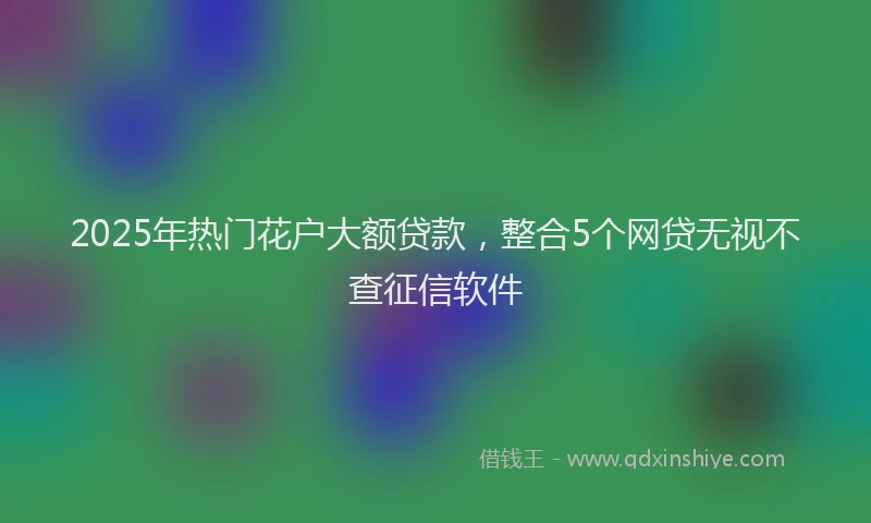 2025年热门花户大额贷款,整合5个网贷无视不查征信软件