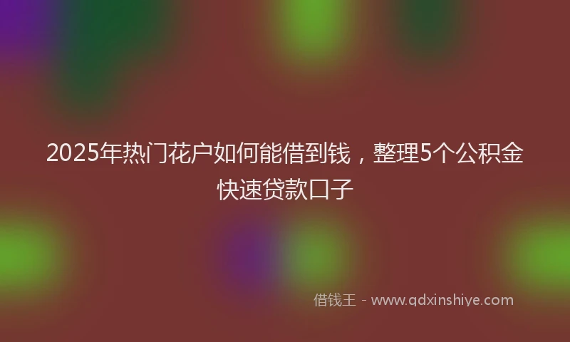 2025年热门花户如何能借到钱，整理5个公积金快速贷款口子