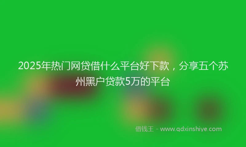 2025年热门网贷借什么平台好下款，分享五个苏州黑户贷款5万的平台