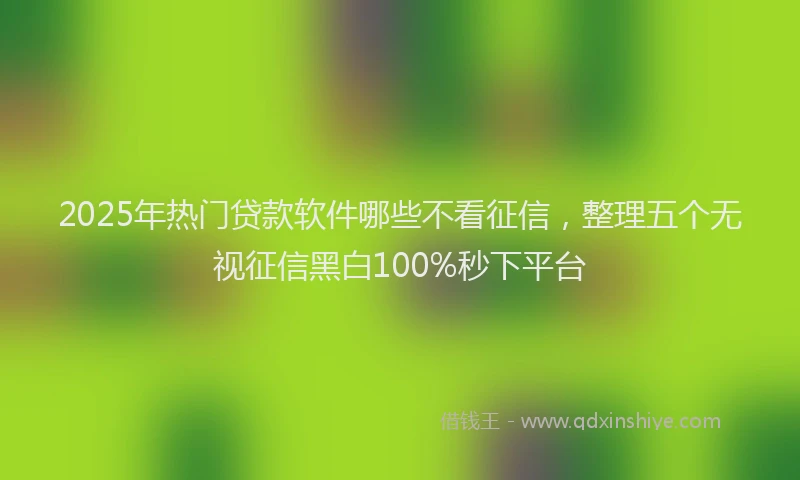 2025年热门贷款软件哪些不看征信，整理五个无视征信黑白100%秒下平台