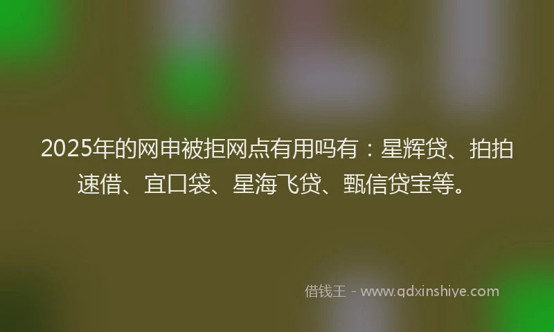 2025年的网申被拒网点有用吗有：星辉贷、拍拍速借、宜口袋、星海飞贷、甄信贷宝等。