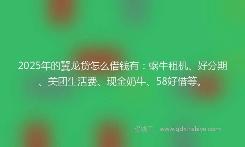 2025年的翼龙贷怎么借钱有：蜗牛租机、好分期、美团生活费、现金奶牛、58好借等。