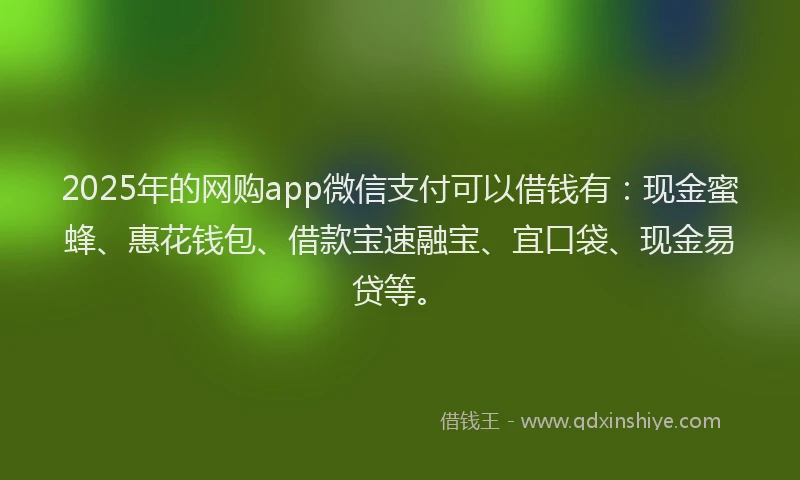 2025年的网购app微信支付可以借钱有：现金蜜蜂、惠花钱包、借款宝速融宝、宜口袋、现金易贷等。