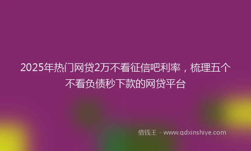 2025年热门网贷2万不看征信吧利率，梳理五个不看负债秒下款的网贷平台