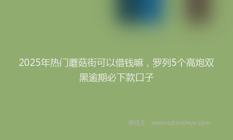 2025年热门蘑菇街可以借钱嘛，罗列5个高炮双黑逾期必下款口子