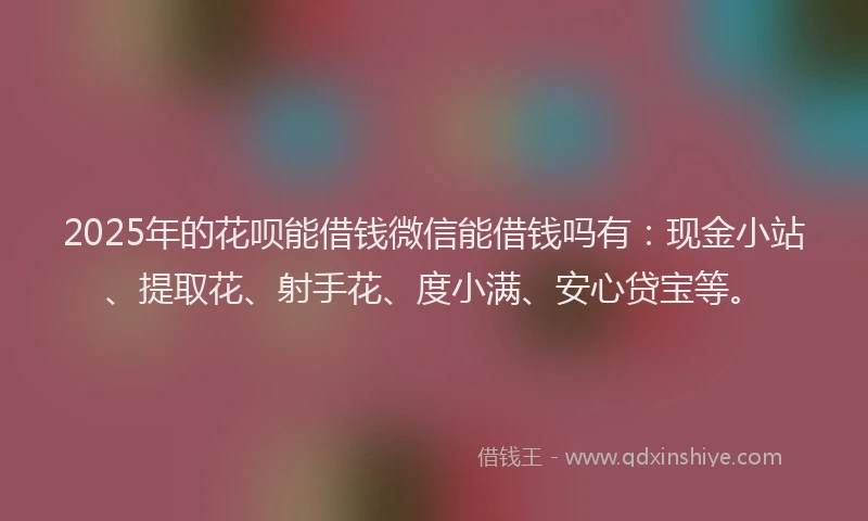 2025年的花呗能借钱微信能借钱吗有：现金小站、提取花、射手花、度小满、安心贷宝等。