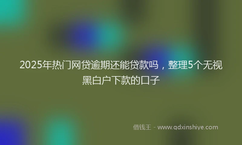 2025年热门网贷逾期还能贷款吗，整理5个无视黑白户下款的口子