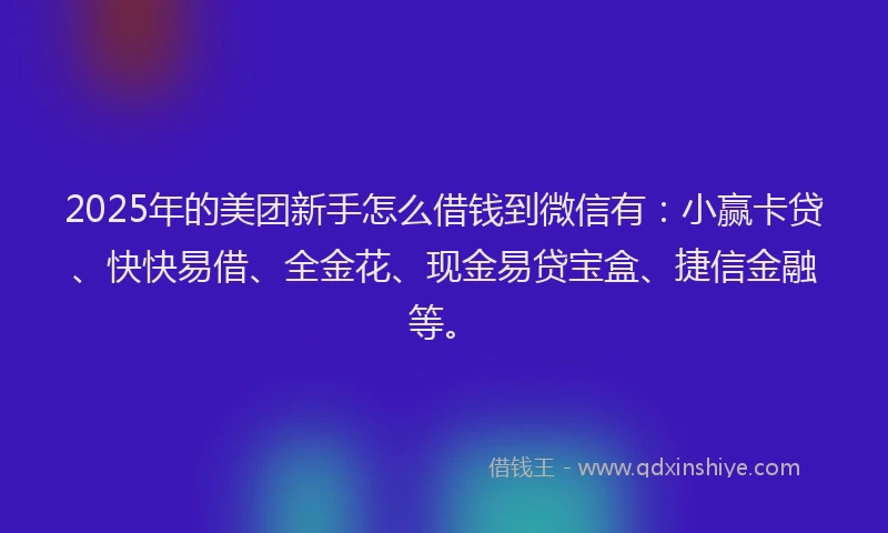 2025年的美团新手怎么借钱到微信有：小赢卡贷、快快易借、全金花、现金易贷宝盒、捷信金融等。
