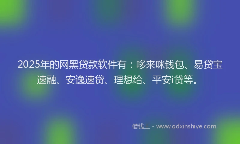 2025年的网黑贷款软件有：哆来咪钱包、易贷宝速融、安逸速贷、理想给、平安i贷等。