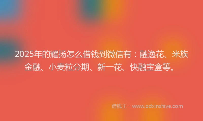 2025年的耀扬怎么借钱到微信有：融逸花、米族金融、小麦粒分期、新一花、快融宝盒等。