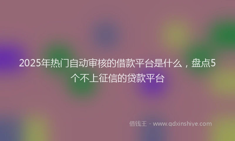 2025年热门自动审核的借款平台是什么，盘点5个不上征信的贷款平台