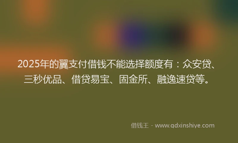2025年的翼支付借钱不能选择额度有：众安贷、三秒优品、借贷易宝、固金所、融逸速贷等。