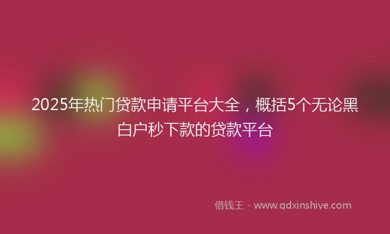 2025年热门贷款申请平台大全，概括5个无论黑白户秒下款的贷款平台