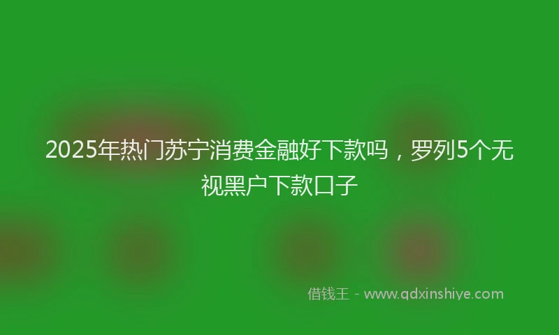 2025年热门苏宁消费金融好下款吗，罗列5个无视黑户下款口子