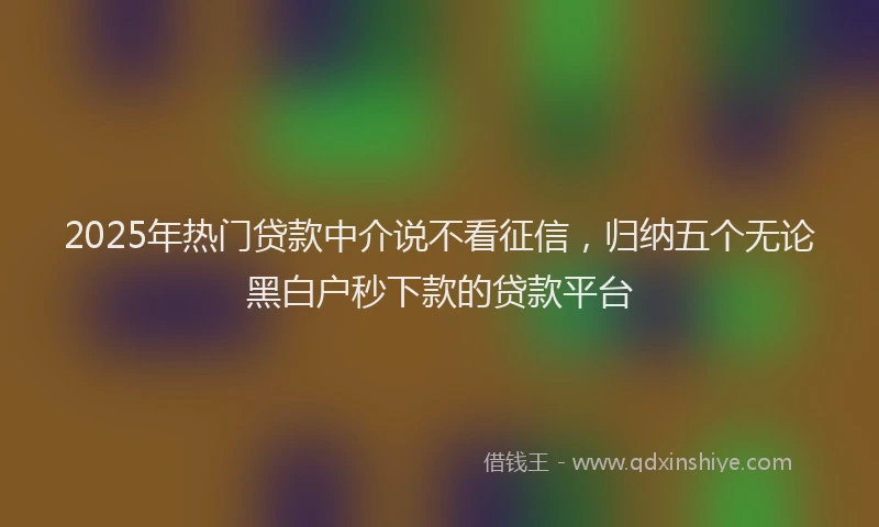 2025年热门贷款中介说不看征信，归纳五个无论黑白户秒下款的贷款平台