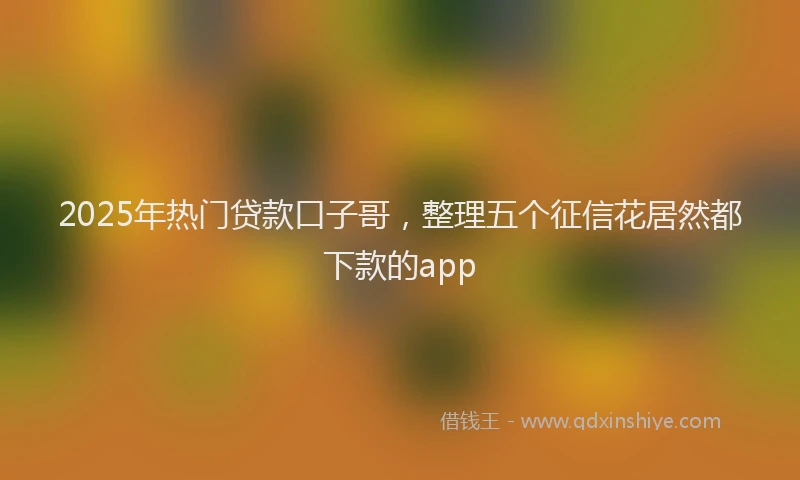 2025年热门贷款口子哥，整理五个征信花居然都下款的app