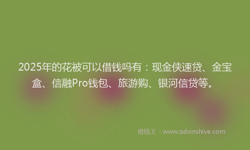 2025年的花被可以借钱吗有：现金侠速贷、金宝盒、信融Pro钱包、旅游购、银河信贷等。