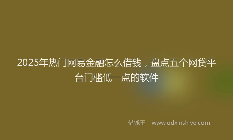 2025年热门网易金融怎么借钱，盘点五个网贷平台门槛低一点的软件