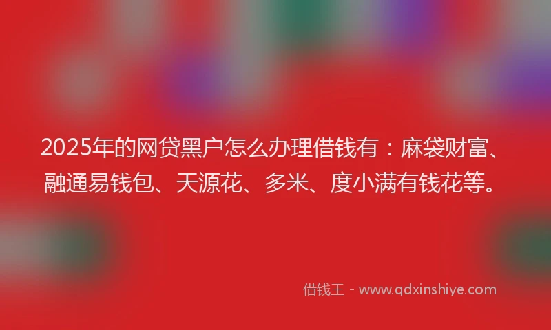 2025年的网贷黑户怎么办理借钱有：麻袋财富、融通易钱包、天源花、多米、度小满有钱花等。