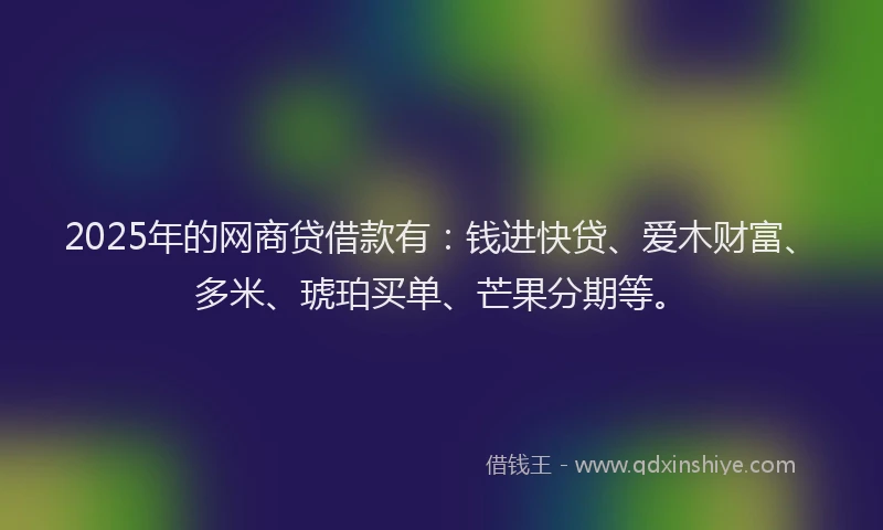 2025年的网商贷借款有：钱进快贷、爱木财富、多米、琥珀买单、芒果分期等。