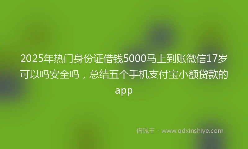 2025年热门身份证借钱5000马上到账微信17岁可以吗安全吗，总结五个手机支付宝小额贷款的app