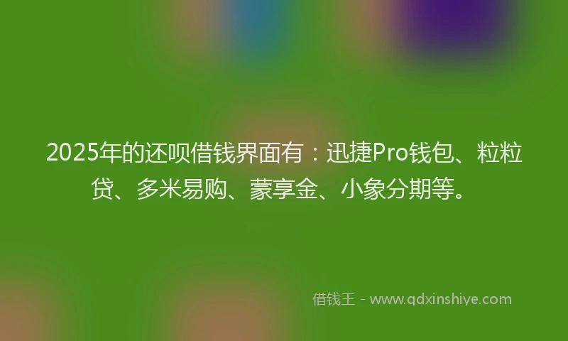 2025年的还呗借钱界面有：迅捷Pro钱包、粒粒贷、多米易购、蒙享金、小象分期等。