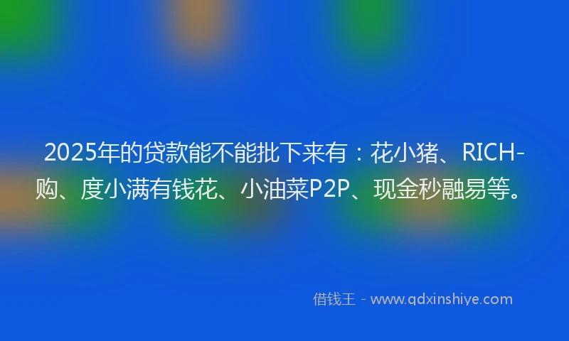 2025年的贷款能不能批下来有：花小猪、RICH-购、度小满有钱花、小油菜P2P、现金秒融易等。