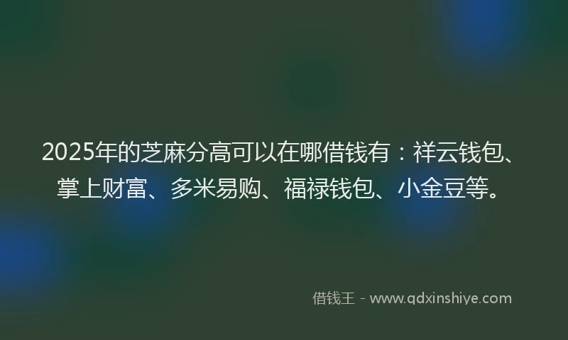2025年的芝麻分高可以在哪借钱有：祥云钱包、掌上财富、多米易购、福禄钱包、小金豆等。