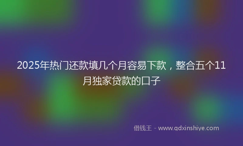 2025年热门还款填几个月容易下款，整合五个11月独家贷款的口子