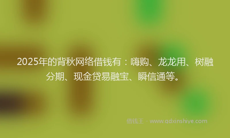 2025年的背秋网络借钱有：嗨购、龙龙用、树融分期、现金贷易融宝、瞬信通等。