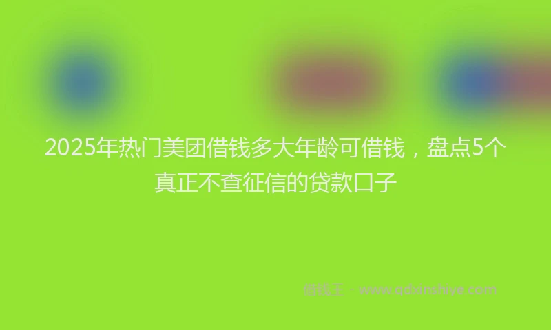 2025年热门美团借钱多大年龄可借钱，盘点5个真正不查征信的贷款口子