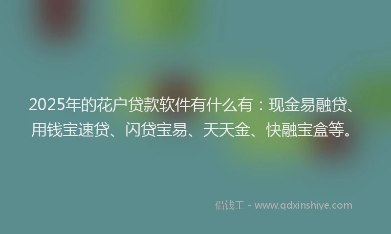 2025年的花户贷款软件有什么有：现金易融贷、用钱宝速贷、闪贷宝易、天天金、快融宝盒等。