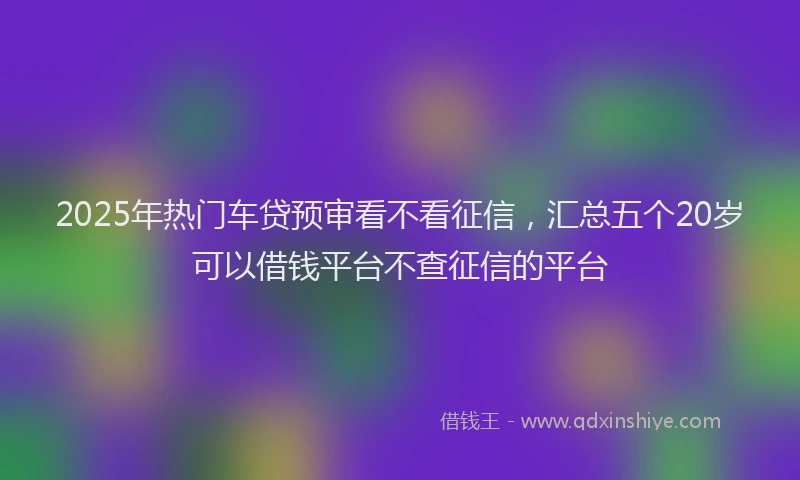 2025年热门车贷预审看不看征信，汇总五个20岁可以借钱平台不查征信的平台